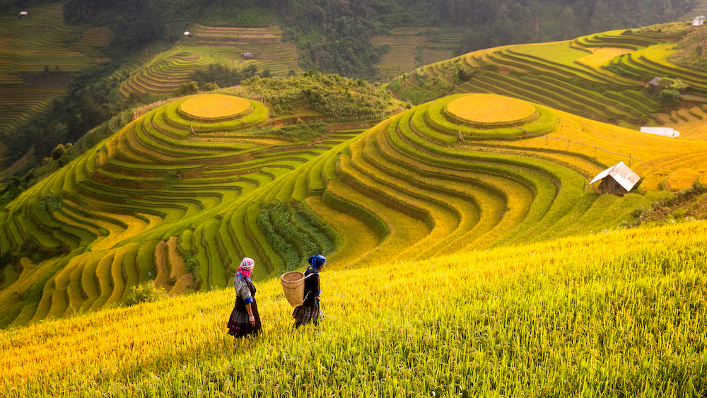 Sapa Tour 2 Days 1 Night: A Short but Stunning Escape into Vietnam’s Highlands