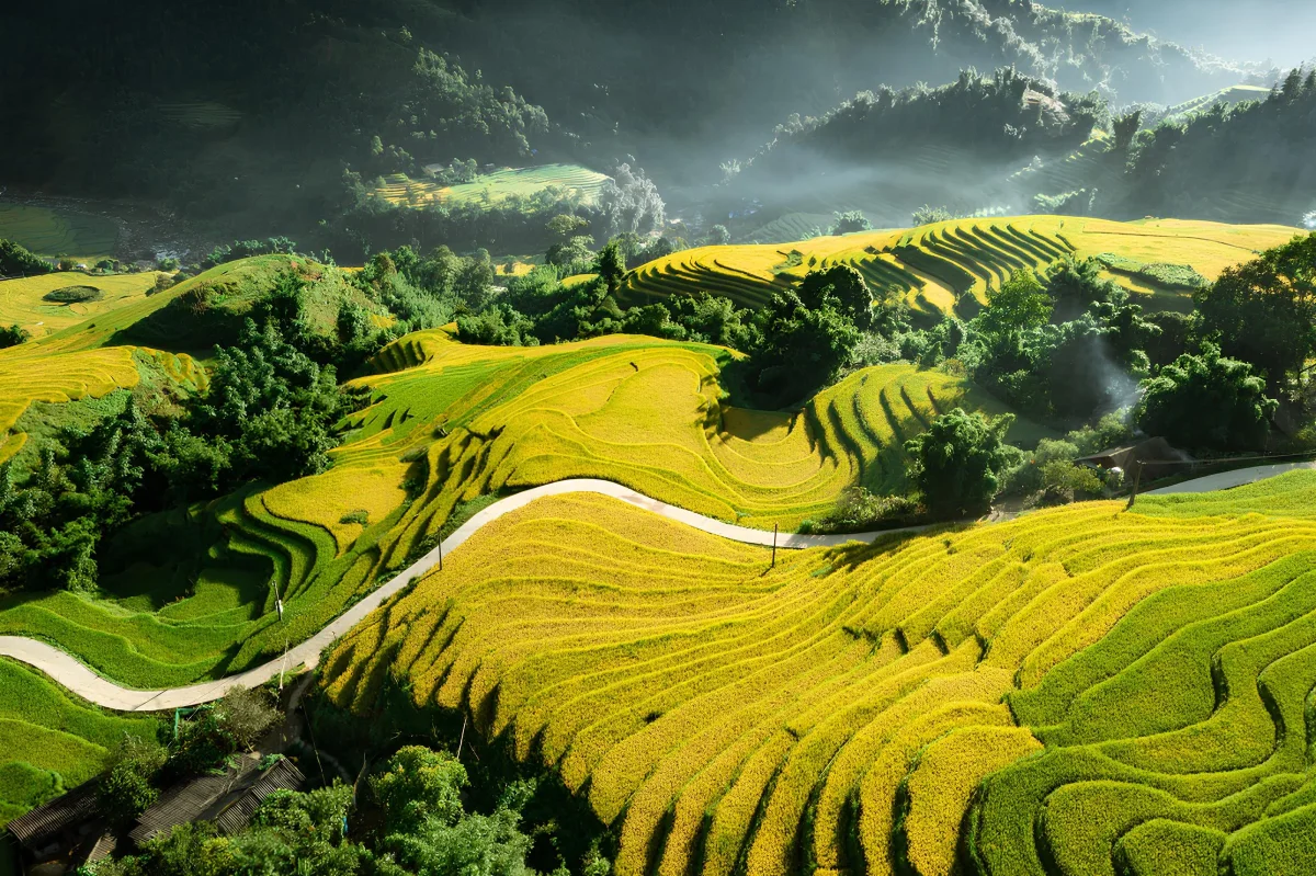Lao Chai Village: Explore the Heart of Sapa’s Rice Terraces