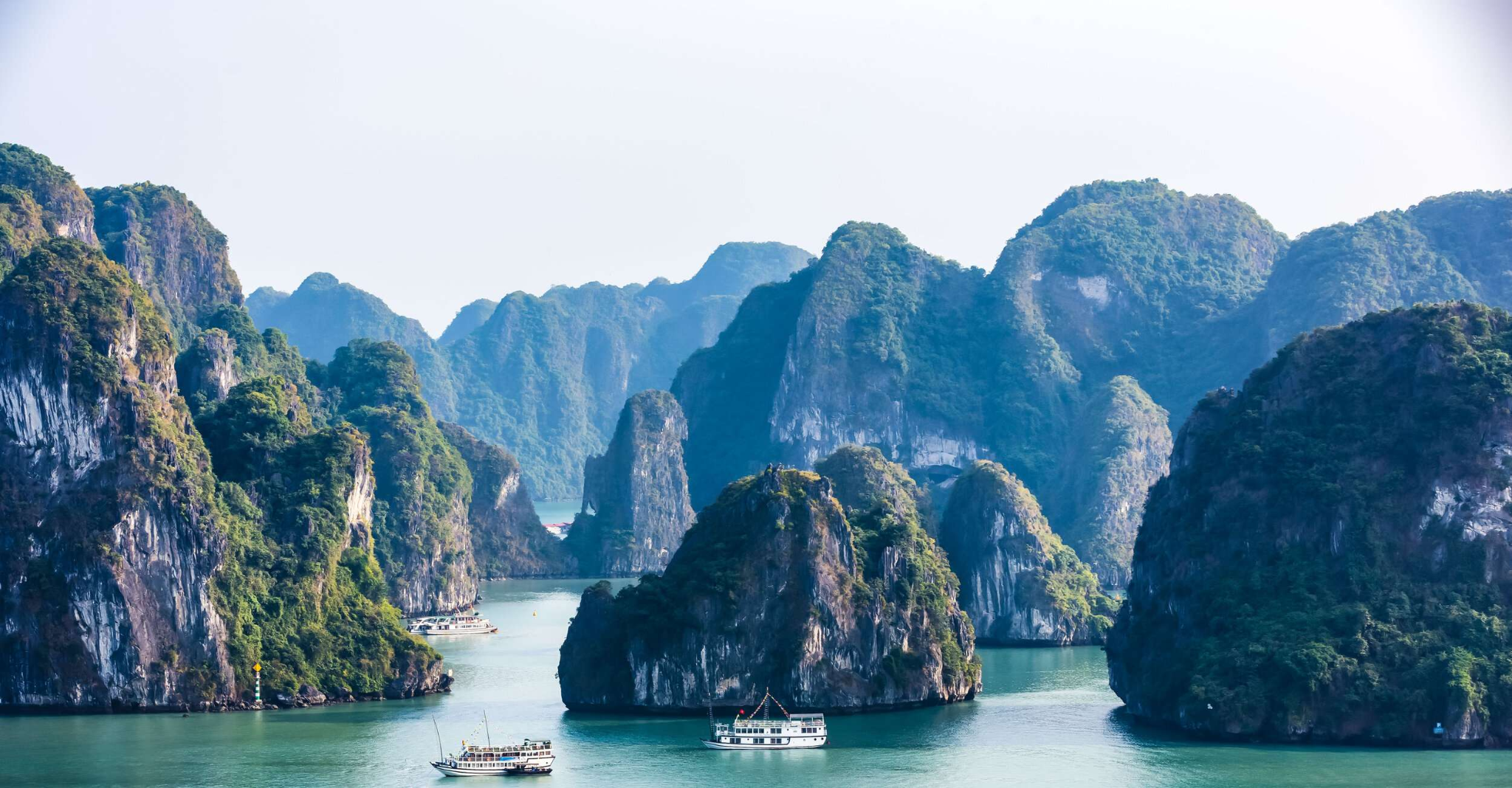 Ha Long Bay Cruise Tour: Complete 2D1N & 3D2N Experience Guide