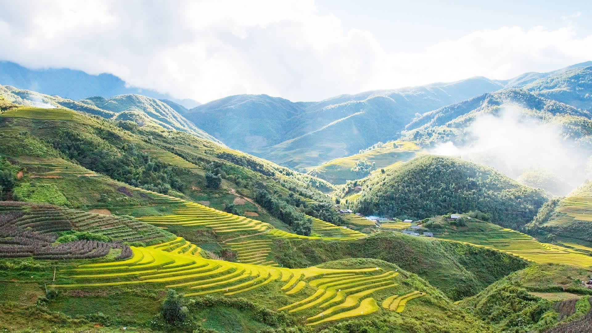 Sapa Trekking Tour: Explore Rice Terraces & Ethnic Villages