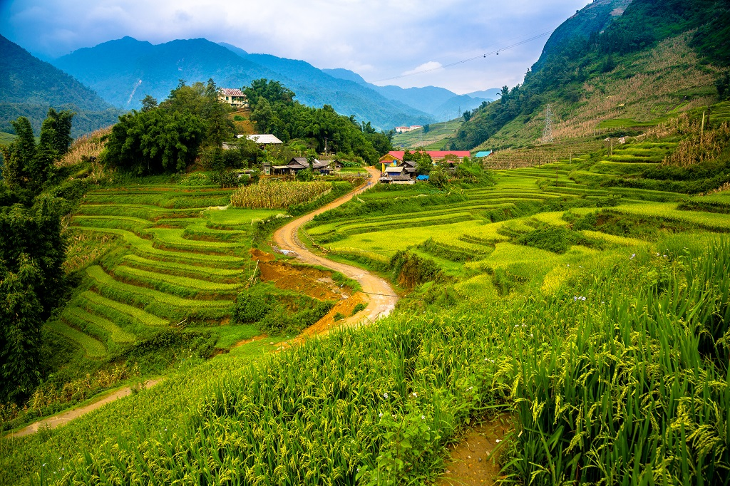 Cat Cat Village: A Cultural Experience in Sapa