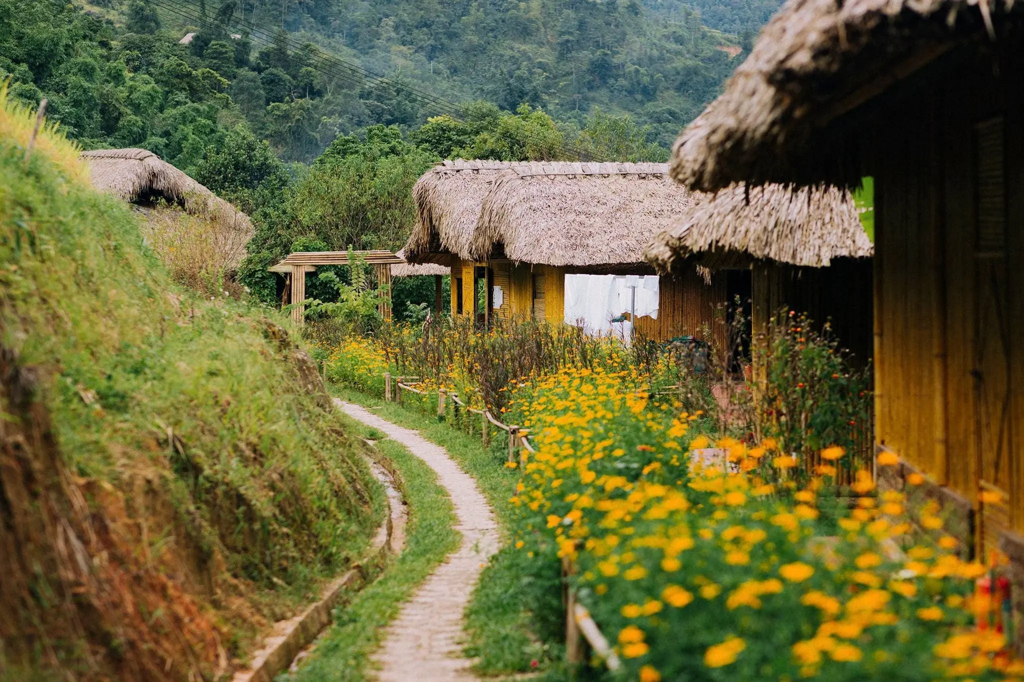 Ha Giang Loop Itinerary: The Perfect 3 Days 2 Nights Route