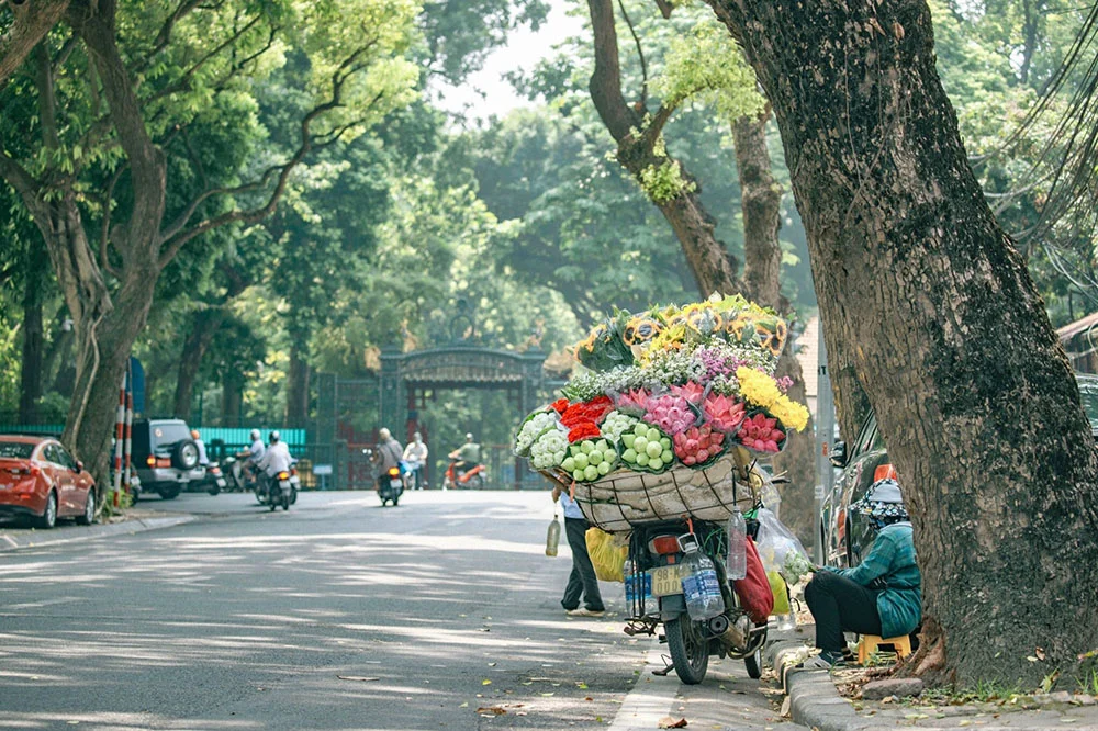 Hanoi Autumn Travel Guide: Weather, Experiences and Local Flavors
