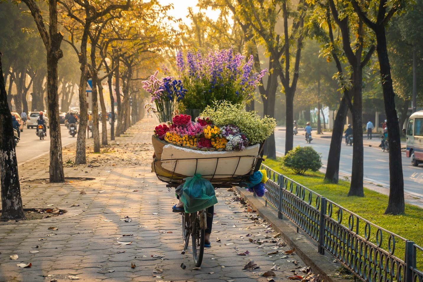 Where to See the Most Beautiful Autumn Scenery in Northern Vietnam