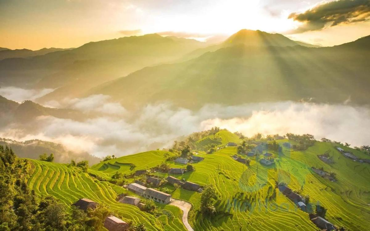 Mai Chau Rice Fields: A Peaceful Mountain Escape During Harvest Season